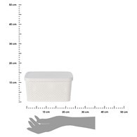 Koszyk do przechowywania biały 23 cm Biały, zamykany koszyk do przechowywania z pokrywą wykonany z wytrzymałego tworzywa sztucznego