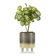 Doniczka porcelanowa 11,5 cm wzór 1