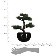 Drzewko bonsai w czarnej doniczce 36 cmWykonane z wytrzymałego tworzywa, ceramiczna donica, realistycznie i szczegółowo odwzorowane