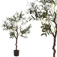 Oliwne drzewko w donicy duże 120 cm