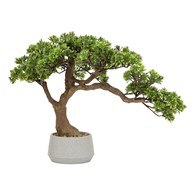 Ozdobne drzewko Bonsai 45cm Polin