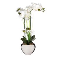 Orchidea w srebrnej doniczce 53 cm Wykonana z wysokiej jakości tworzywa sztucznego, ceramiczna doniczka, doskonała imitacja prawdziwej orchidei