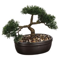 Drzewko bonsai w czarnej doniczce 23 cmSztuczna roślina w ceramicznej donicy, wykonana z tworzywa sztucznego, wysokość 23 cm