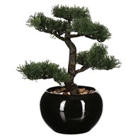 Drzewko bonsai w czarnej doniczce 36 cmWykonane z wytrzymałego tworzywa, ceramiczna donica, realistycznie i szczegółowo odwzorowane