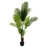 Drzewko palmowe w doniczce 180 cm Wykonane z wysokiej jakości tworzywa sztucznego, czarna doniczka, doskonała imitacja prawdziwej palmy