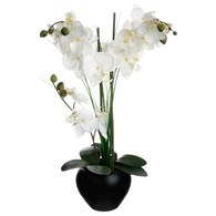 Orchidea w czarnej doniczce 53 cm Wykonana z wysokiej jakości tworzywa sztucznego, ceramiczna doniczka, doskonała imitacja prawdziwej orchidei