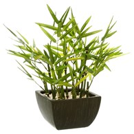 Sztuczny bambus w donicy 35 cm Dekoracyjna roślina wykonana z mocnego i trwałego tworzywa sztucznego, umieszczona w ceramicznej doniczce, wysokość 35 cm