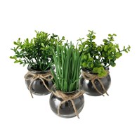 Komplet 3 roślin doniczkowych Freya Wykonane z wysokiej jakości tworzywa sztucznego, w przezroczystych doniczkach, naturalny wygląd