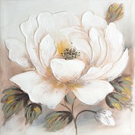 Obraz 664/B 60x60 cm białe kwiaty