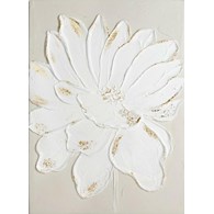 Obraz 666/B 50x70 cm biały kwiat