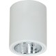 Plafon natynkowy Downlight 12,5 cm biały Oprawa sufitowa Downlight round biała pojedyncza