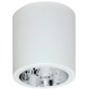 Plafon natynkowy Downlight 17,5 cm biały Oprawa sufitowa Downlight round biała pojedyncza