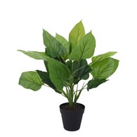 Roślina sztuczna w donicy 45 cm wzór 2 Wykonana z tworzywa sztucznego, dekoracyjna i syntetyczna ozdoba w czarnej doniczce o wymiarach: 45x10 cm