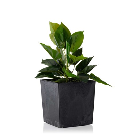 Donica Flore Czarny Beton h19x19 cm