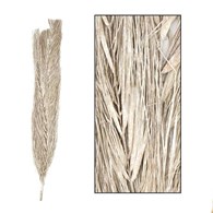 Suszona egzotyczna trawa bielona 100 cm Gałązka suszonej trawy egzotycznej w naturalnym, bielonym kolorze o długości 90-100 cm i wadze 100g