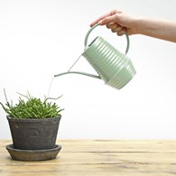 Ozdobna konewka seledynowa 1LKonewka ozdobna ze stali ocynkowanej renomowanej firmy Esschert Design o pojemności 1 litra i wymiarach: 26x20x11 cm