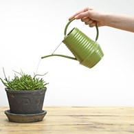 Ozdobna konewka jasno zielona 1L Konewka ozdobna ze stali ocynkowanej renomowanej firmy Esschert Design o pojemności 1 litra i wymiarach: 26x20x11 cm