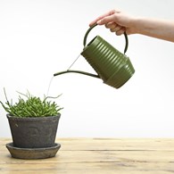 Ozdobna konewka ciemno zielona 1L Konewka ozdobna ze stali ocynkowanej renomowanej firmy Esschert Design o pojemności 1 litra i wymiarach: 26x20x11 cm