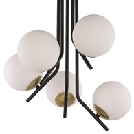 Lampa Sufitowa TIM Czarny Złoty Szklany Klosz 5xE14