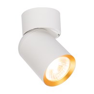 Lampa Sufitowa Spot ANDY Biały Złoty 1xGU10