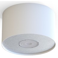 Lampa Sufitowa POINT S Biały 1xGU10 IP20