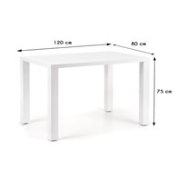 Stół Ronald 120x80 cm biały